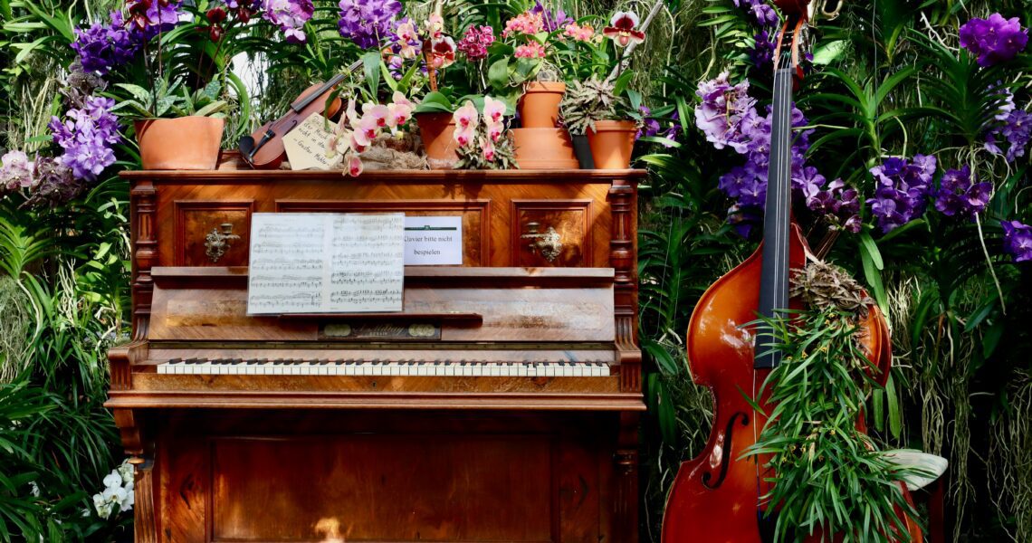 “Explorando la riqueza de tu jardín interior”: chikung, respiración, meditación y concierto de piano.