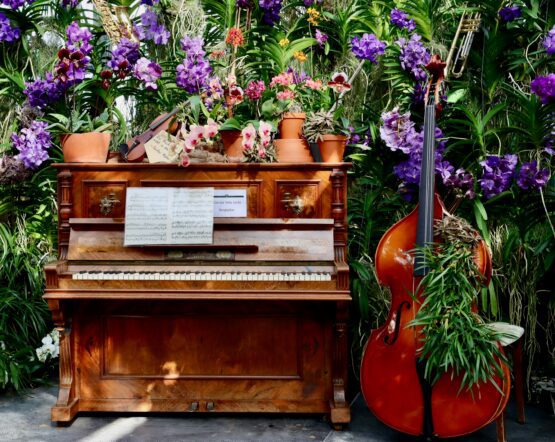 “Explorando la riqueza de tu jardín interior”: chikung, respiración, meditación y concierto de piano.